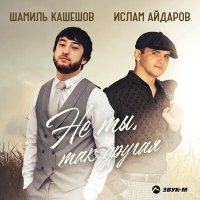 Постер песни Шамиль Кашешов, Ислам Айдаров - Не ты, так другая