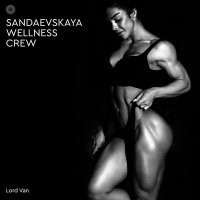 Постер песни LORD VAN - SANDAEVSKAYA WELLNESS CREW