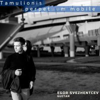 Постер песни Egor Svezhentcev - Tamulionis: Perpetuum Mobile
