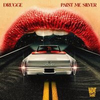 Постер песни Drugge - Paint Me Silver