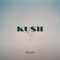 Постер песни Argenskiy - Kush