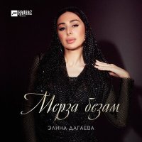 Постер песни Элина Дагаева - Мерза безам