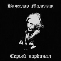 Постер песни Вячеслав Малежик - Страдание