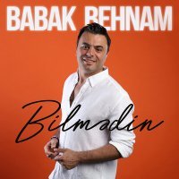 Постер песни Babak Behnam - Bilmədin