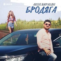 Постер песни Акоп Вирабян - Бродяга (Remix)