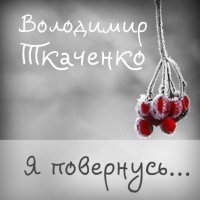 Постер песни Володимир Ткаченко - Я повернусь