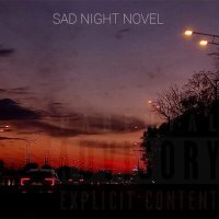 Постер песни Onetury - SAD NIGHT NOVEL