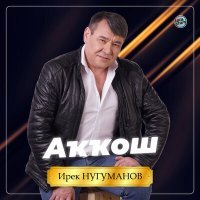 Постер песни Ирек Нугуманов, Гульшат Арсланова - Кил иркәм