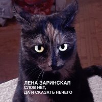 Постер песни Лена Заринская - Когда хвоя сосны опадет