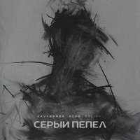 Постер песни Kavabanga Depo Kolibri - Серый пепел