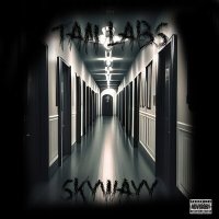 Постер песни Skywayy - TAN LABS