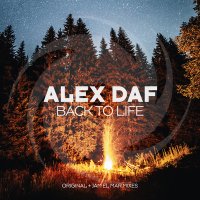 Постер песни Alex Daf - Back to Life