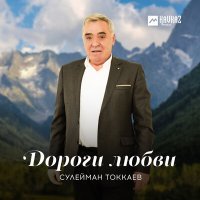 Постер песни Сулейман Токкаев - Гечде латта