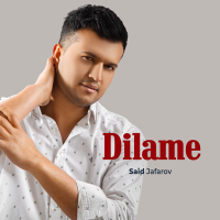 Постер песни Said Jafarov - Dilame