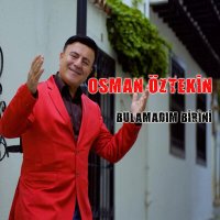 Постер песни Osman Öztekin - Bulamadım Birini