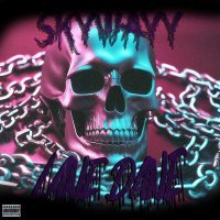 Постер песни Skywayy - LANE DANE
