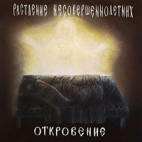 Постер песни Растление несовершеннолетних - Звезда "Полынь"
