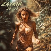 Постер песни Zaykin - Up Up