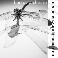 Постер песни burkov orchestra - змея