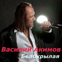 Постер песни Василий Акимов - Белокрылая