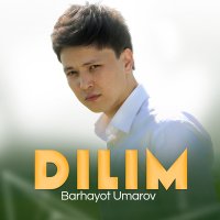 Постер песни Barhayot Umarov - Dilim