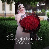Постер песни Шовда Дамаева - Мерза безам