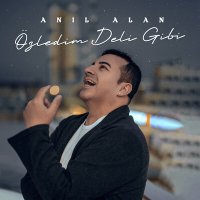 Постер песни Anıl Alan - Özledim Deli Gibi