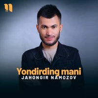 Постер песни Jahongir Namozov - Yondirding mani