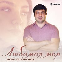 Постер песни Мурат Хапсироков - Украл