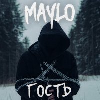 Постер песни Maylo - Гость