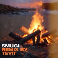 Постер песни Smugl, TEVIT - У костра (Remix)