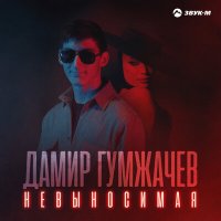 Постер песни Дамир Гумжачев - Невыносимая