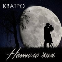 Постер песни Кватро - Немного жаль