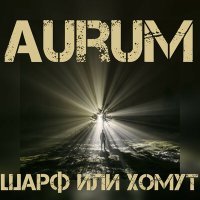 Постер песни Aurum - шарф или хомут