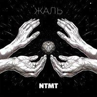 Постер песни NTMT - Жаль