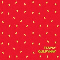 Постер песни Taspay - Qulpynay