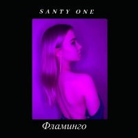 Постер песни SANTY ONE - Фламинго