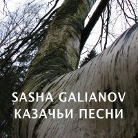 Постер песни SASHA GALIANOV - Чёрный ворон
