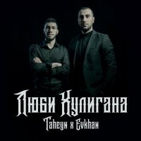 Постер песни TAHEYN, Evkhan - Люби хулигана