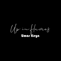 Постер песни Umar Keyn - Up in flames