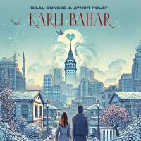 Постер песни Aynur Polat & Bilal Sonses - Karlı Bahar