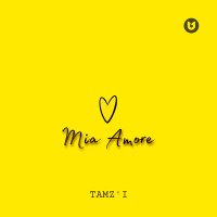 Постер песни TAMZ'I - Mia Amore