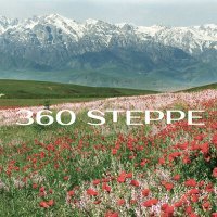 Постер песни Кот Балу, Jaydario, DupliciYo - 360 steppe