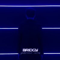 Постер песни Bridgy - Девочка ночь