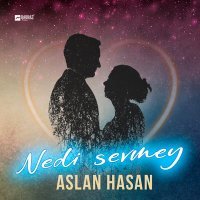 Постер песни Aslan Hasan - Nedi sevmey