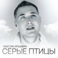 Постер песни Максим Аршавин - Серые птицы (Dj Ikonnikov Remix)