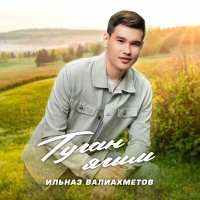 Постер песни Ильназ Валиахметов - Туган ягым