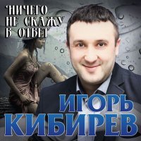 Постер песни Игорь Кибирев - Ничего не скажу в ответ