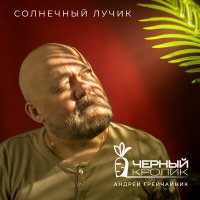 Постер песни Чёрный кролик, Андрей Грейчайник - Солнечный лучик