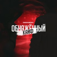 Постер песни theshumukh - Обнажённый кайф